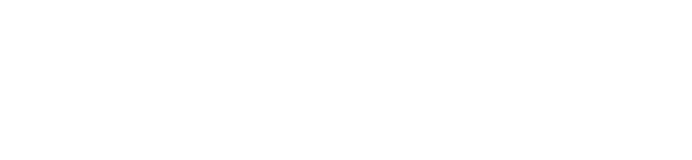 dorico logo - PluginAudio PRO